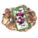 Jub Plant in a Box Tulipa Pastel mix JUB, 40 bloembollen