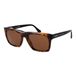 Web Sunglasses WE0350 55E 55 Bruin Acetaat Vierkant Mannen