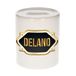 Bellatio Decorations Spaarpot met voornaam Delano - wit - met goud/zwart embleem - 8 x 9 cm - keramiek - met afsluitdop - cadeau verjaardag