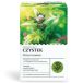 HERBAPOL Czystek-tisane, 30 Stück