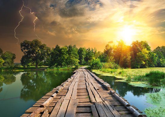 Ravensburger puzzel Nature Edition N°3 Mystisches Licht - 1000 stukjes