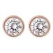 Orphelia Stud Rose Zirc Sterling Zilver 925