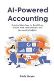 AI The Lean Professional- AI Powered Accounting