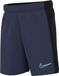 NIKE Academy23-DX5476 Shorts Midnight Navy/Zwart/Hyper Turq 128