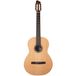 Godin Presentation Clasica 2 guitare classique électro-acoustique
