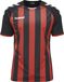 Hummel Kinder Trikot Core Striped SS Jersey - 103755, Farbe:Gelb, Textil:140-152