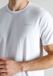 TOM TAILOR - Ohio - Sous-vêtement homme col rond - Lot de 3 - Blanc
