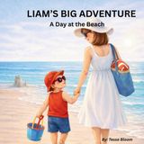 Liam's Big Adventure Paperback