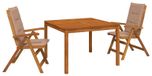 Naturel Massief Acaciahout Table de jardin