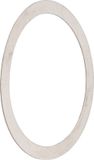 Centerlock Jagwire Centerlock Lockring Washer - 0,2mm (10pcs)