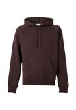Carhartt WIP Sweatshirt 'Chase' chocoladebruin