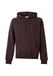 Carhartt WIP Sweatshirt 'Chase' chocoladebruin