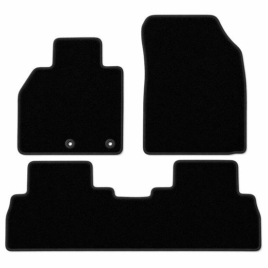 Bavepa Automatten Renault Scenic 2009-2015 + vakjes
