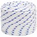 vidaXL Multifunctioneel touw 16 mm 25 m Wit en Blauw PP
