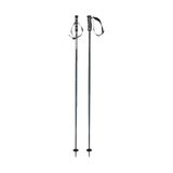 HEAD Unisex Adult Multi Grey White Skistokken