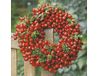 Servetten Rosehip Wreath Servetten papier Rosehip Wreath 33 x 33 cm. 20U
