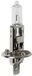 Lampa Viaautoshop H1 Halogeen lamp 12V 55W