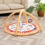 Baby Montessori Baby Speelkleed met Speelboog