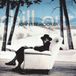 Greycourt Point Blank Chill Out