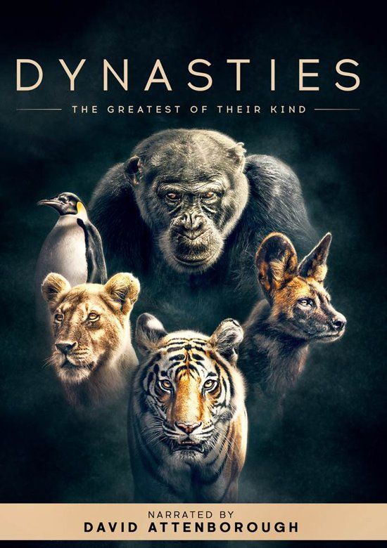 Dynasties - DVD