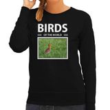 Bellatio Decorations Birds of the World Dieren foto sweater Grutto - zwart - dames - cadeau trui vogels liefhebber XS