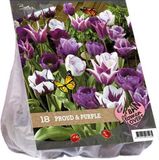 Baltus Urban Flowers – Proud & Purple - 2 x 18 stuks