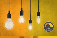 Paulmann 28777 LED-lamp E14 Kaars 5W 470lm Helder