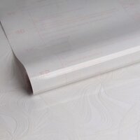 d-c-fix DC-fix Zelfklevende Raamfolie Tara 67,5x200 cm - Transparant - PVC