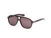 Adidas Originals OR0136 Havana foncée Lunettes de soleil pilote Hommes