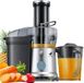 NovaWare Accessoire centrifugeuse – Juicer pour Légumes & Fruits – Grande Ouverture – 1.25L – 3 Vitesses - 1200W
