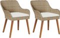 vidaXL Fauteuil de jardin beige poly rotin 2 pièces avec coussins