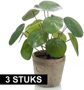 Bellatio Flowers & Plants 3x stuks Kunstplanten pannekoekplant groen in pot 25 cm - Kamerplanten groen pilea