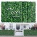 HEDGE MAZE Gras wandpanelen 12 stuks 50 x 50 cm groene muur met UV-bescherming buxuspanelen gras muur achtergrond duurzame groene wanddecoratie geschikt voor evenementen, binnen en buiten decor