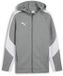 Puma TeamEVOSTRIPE Hooded Jacket 659947