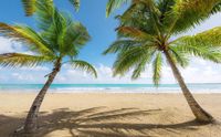 Komar Fotobehang Caribbean Days II 450x280cm Vliesbehang