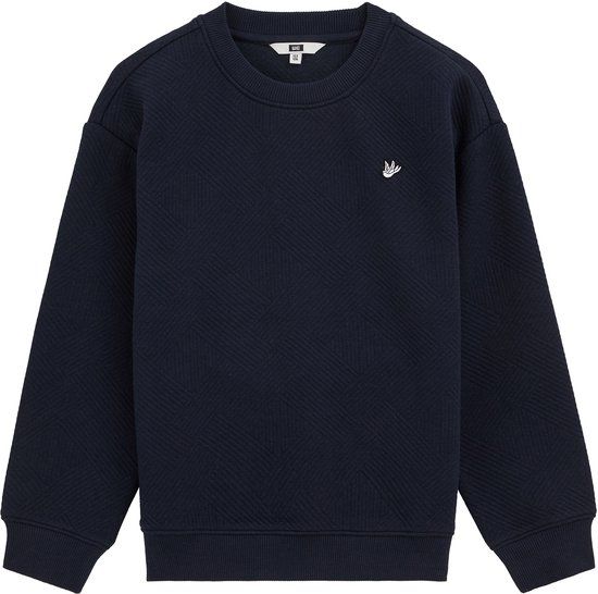 WE Fashion Jongens sweater met structuur en embroidery