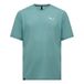 Salewa Pedroc Dry Light T-shirt M heren T-Shirt