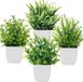 Ibenzoa® Set de quatre mini plantes artificielles réalistes avec pot