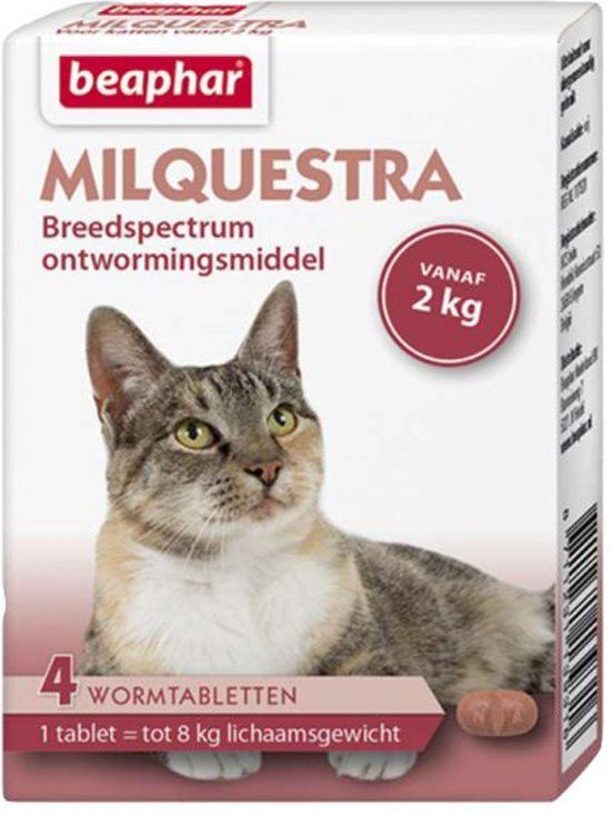 BEAPHAR Milquestra Kat - 4 TBL