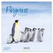Korsch Verlag Pinguïns Kalender 2027 Wandkalender
