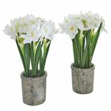 LOBERON Sierbloem set van 2 Soralen groen/wit