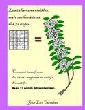 Les Libri GmbH Les talismans visibles Mais cachés à tous des 72 anges. Paperback