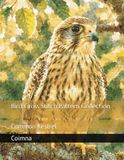 Bird Cross Stitch Pattern Collection: Common Kestrel