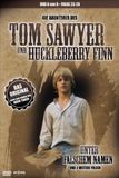 Tom Sawyer 6