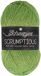 Scheepjes Scrumptious 100gram - 326 Matcha Chiffon Cake