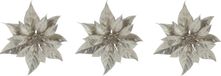 Cosy&Trendy Kerststerren Decoratie bloem - 4x stuks - champagne glitter - op clip - 18 cm - kerstboomversiering