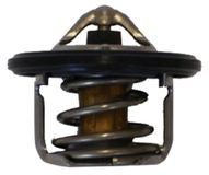 JAPANPARTS JPVT-M01 TERMOSTATO