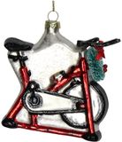 Hd collection Kersten Ornament kerstbal Hometrainer Glas Rood 10.2 cm HD Collection