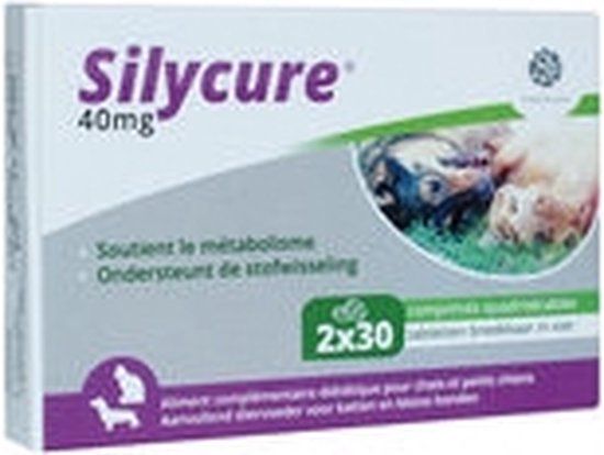 Fendigo Silycure 40 mg - 60 tabletten