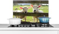 KitchenYeah Spatscherm keuken 60x40 cm - Schapen - Dieren - Boerderij - Aluminium